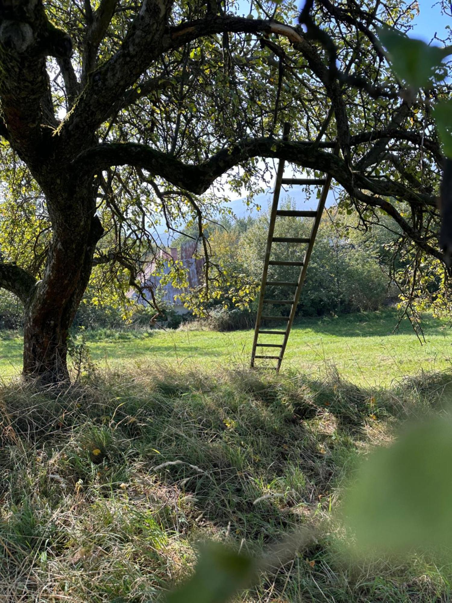 Nadherne Misto Pro Vas Relax V Prirode Uherské Hradiště Dış mekan fotoğraf